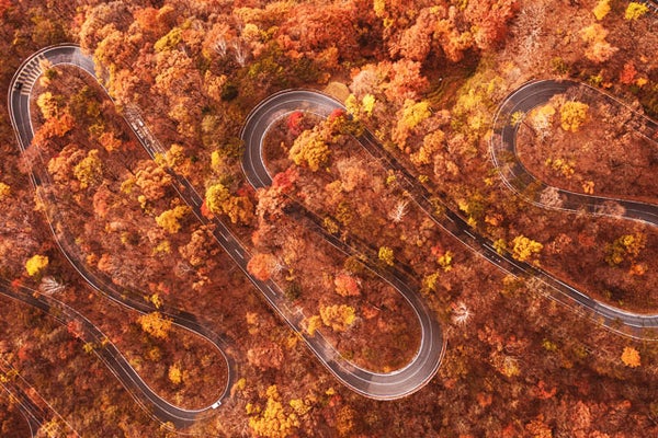 ★11/16(日)催行決定★【新宿/東京発】秋色鮮やかに染まる日光へ! <日光東照宮の拝観料込みだから安心♪>専門ガイドとまわる世界遺産「日光東照宮」&日本三名瀑「華厳の滝」、日光いろは坂・中禅寺湖めぐる 日帰りバスツアー1